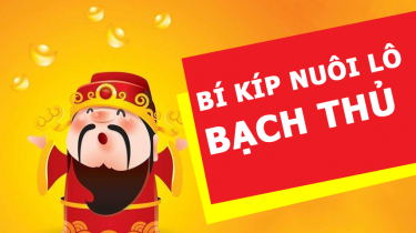 nuoi lo bach thu